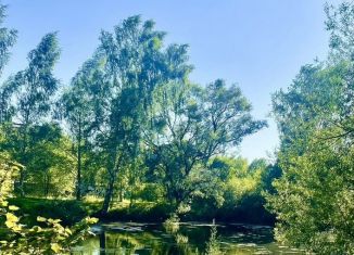 Продается земельный участок, 33 сот., деревня Шульгино