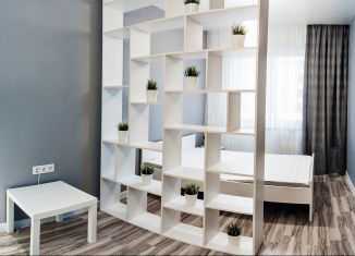 Аренда 2-комнатной квартиры, 43 м2, Петрозаводск, улица Чкалова, 40