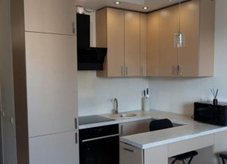 Сдача в аренду квартиры студии, 22.8 м2, деревня Новое Девяткино, Арсенальная улица, 3, ЖК Девяткино