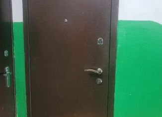 Продажа 1-ком. квартиры, 33.1 м2, Магнитогорск, улица Панькова, 18/1