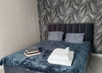 Сдача в аренду дома, 60 м2, Барнаул, улица Антона Петрова, 86