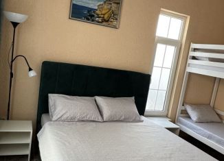 Сдаю коттедж, 60 м2, село Оленевка, Крымская улица, 28