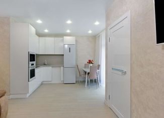 Сдается 1-ком. квартира, 45 м2, Сочи, переулок Трунова, 6