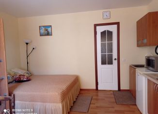 Продажа 1-комнатной квартиры, 20.2 м2, село Орловка, Качинское шоссе, 35А