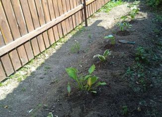 Продажа дачи, 42 м2, коллективный сад № 1 НТМК, 5-я линия, 62