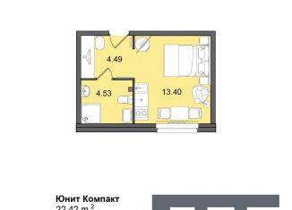 Продам квартиру студию, 22.4 м2, Санкт-Петербург, муниципальный округ Гагаринское, Витебский проспект, 99к1