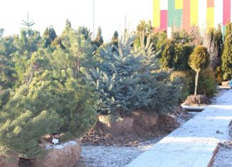 Сдаю торговую площадь, 500 м2, Мытищи, Осташковское шоссе, 1к13