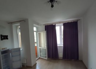 Сдается в аренду квартира студия, 30 м2, Екатеринбург, улица Крестинского, 2, ЖК Новая ботаника