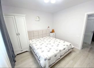 Сдается 1-ком. квартира, 41 м2, Санкт-Петербург, Клочков переулок, 6к1, Клочков переулок