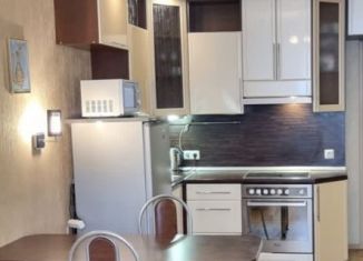 Сдаю в аренду квартиру студию, 28 м2, Санкт-Петербург, Пулковская улица, 8к2, метро Звёздная