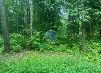 Участок на продажу, 4.7 сот., деревня Малое Видное