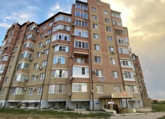 Продажа помещения свободного назначения, 19.8 м2, Калмыкия, 9-й микрорайон, 33