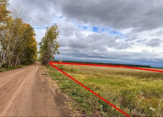 Земельный участок на продажу, 471 сот., село Старые Камышлы, Центральная улица