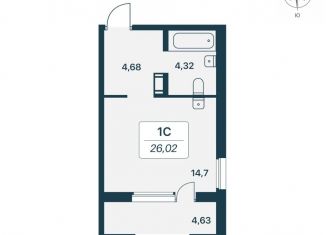 Продаю квартиру студию, 26 м2, Ленинградская область