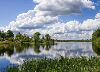 Продажа земельного участка, 25.7 сот., село Ноздрачево, село Ноздрачево, 112Б