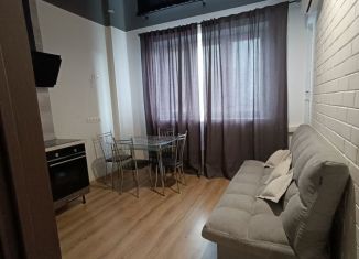 Сдам однокомнатную квартиру, 42.2 м2, Челябинск, проспект Героя России Е.Н. Родионова, 13, ЖК Ньютон