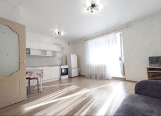 Продажа 1-комнатной квартиры, 30.5 м2, Казань, улица Рауиса Гареева, 98