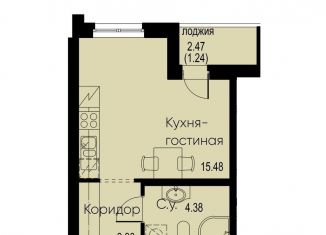 Продажа квартиры студии, 24.5 м2, Мурино, Екатерининская улица, 23