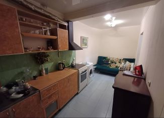 Сдается в аренду 1-ком. квартира, 30 м2, Сочи, Виноградная улица, 150, микрорайон Донская