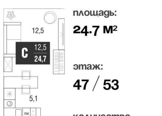 Квартира на продажу студия, 24.6 м2, Москва, проезд Серебрякова, 11-13к1, ЖК Сильвер