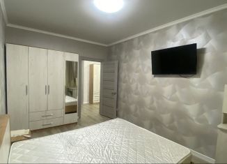 Сдаю 2-комнатную квартиру, 60 м2, Ставропольский край, улица Кочубея, 193