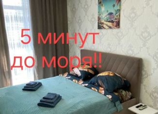 Однокомнатная квартира в аренду, 40 м2, Краснодарский край, Туристическая улица, 3Дк2