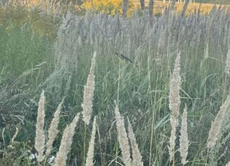 Продам участок, 8 сот., деревня Сизево, Ясная улица