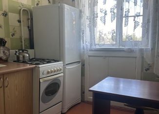 Сдача в аренду 1-комнатной квартиры, 27.1 м2, Рязань, улица Павлова, 52