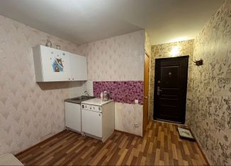 Сдается квартира студия, 17 м2, Новосибирск, Гусинобродское шоссе, 19/1