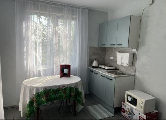 Продается дача, 62 м2, СНТ Горняк, СНТ Горняк, 54