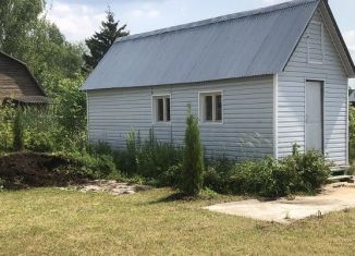 Продается дача, 30 м2, деревня Райки, Берёзовая улица, 25