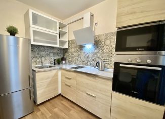 Сдается 1-ком. квартира, 39 м2, Санкт-Петербург, Парашютная улица, 61к1, муниципальный округ Коломяги