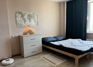 Сдается 1-ком. квартира, 38 м2, Нижегородская область, Московское шоссе, 25А