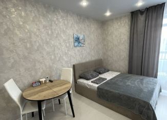 Сдается квартира студия, 30 м2, Татарстан, улица Аделя Кутуя, 110