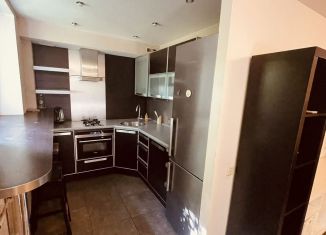 Сдача в аренду квартиры студии, 42 м2, Санкт-Петербург, Алтайская улица, 41