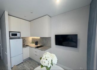 Аренда квартиры студии, 30 м2, Сочи, Миндальная улица, 20/10, микрорайон Верхнеимеретинская Бухта