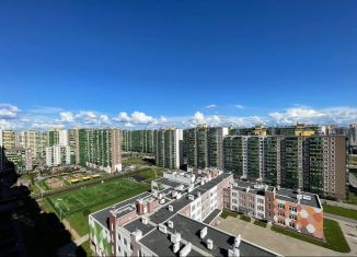 1-комнатная квартира в аренду, 31 м2, Мурино, Графская улица, 12к1, ЖК Гринландия-2