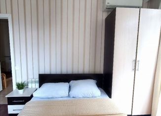 Сдача в аренду двухкомнатной квартиры, 40 м2, Сириус, Цветочная улица, 44/3