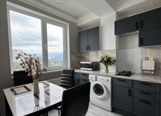 Сдача в аренду двухкомнатной квартиры, 58 м2, Сочи, Пасечная улица, 47, микрорайон Донская