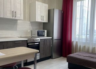 Сдаю 1-ком. квартиру, 42 м2, Республика Башкортостан, улица Энтузиастов, 14