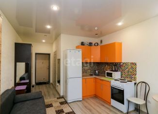 Продается квартира студия, 24.5 м2, Тюмень, Интернациональная улица, 199к1