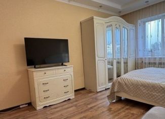 Сдаю 2-ком. квартиру, 59.2 м2, Санкт-Петербург, Витебский проспект, 81к1