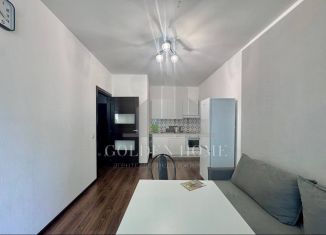 Сдача в аренду 1-комнатной квартиры, 36 м2, Мурино, улица Шувалова, 27/7, ЖК Гринландия-2