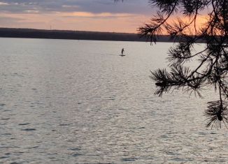 Сдается дом, 35 м2, деревня Пятница