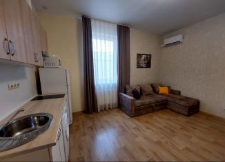 Аренда квартиры студии, 26 м2, Краснодар, улица имени Максима Горького, 190, микрорайон Центральный