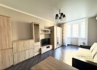 Сдается в аренду однокомнатная квартира, 45.1 м2, Краснодар, улица Архитектора Петина, 14, Фестивальный микрорайон