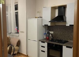 Сдача в аренду однокомнатной квартиры, 42 м2, Сочи, Ударная улица, 5, микрорайон Больничный Городок