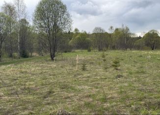 Продажа земельного участка, 10 сот., деревня Вележево