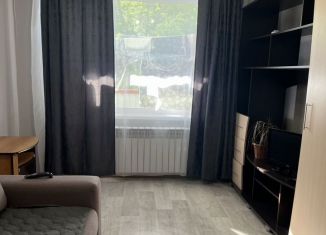 1-ком. квартира в аренду, 30.1 м2, Республика Башкортостан, улица Свердлова, 25Б