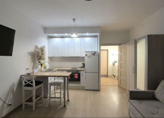 Сдаю квартиру студию, 24.4 м2, Санкт-Петербург, Советский проспект, 34к2, ЖК Невские Паруса